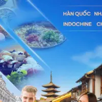 Trung tâm tinh hoa ẩm thực thế giới Global Gourmet - Phân Khu Tinh Hoa, Vinhomes Cổ Loa Global Gate, Đông Anh