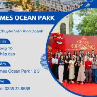 ClickHomes Tuyển Chuyên Viên Kinh Doanh Bất Động Sản Vinhomes Ocean Park 1, 2, 3 – Làm Việc Tại Hà Nội & Hưng Yên
