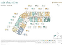 Tổng hợp chi tiết mặt bằng và layout thiết kế tòa L1 phân khu The Wave dự án Masteri Grand Coast - Vinhomes Ocean Park 2
